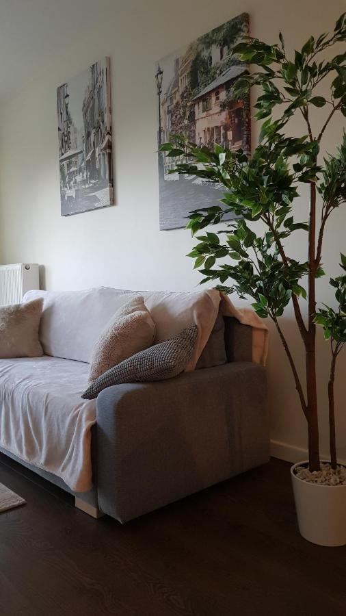 Venice Villa Apartment, Self Check-In 24H, Free Parking Poznań Exteriör bild