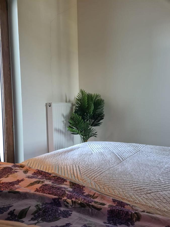 Venice Villa Apartment, Self Check-In 24H, Free Parking Poznań Exteriör bild